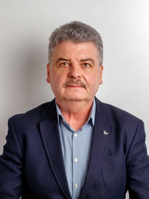 Prof. univ. dr. ing. George CULEA